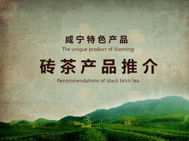 青磚茶：共同走進(jìn)東南亞！