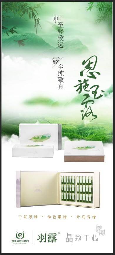 春意盎然，羽露上新